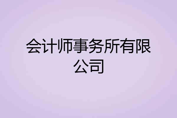 会计师事务所有限公司