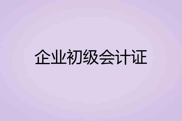 企业初级会计证
