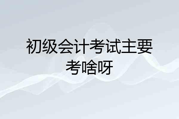 初级会计考试主要考啥呀