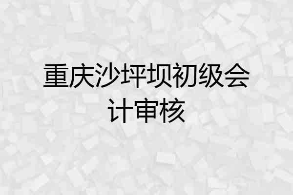 重庆沙坪坝初级会计审核