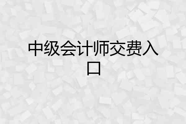 中级会计师交费入口