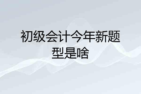 初级会计今年新题型是啥