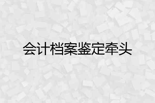 会计档案鉴定牵头