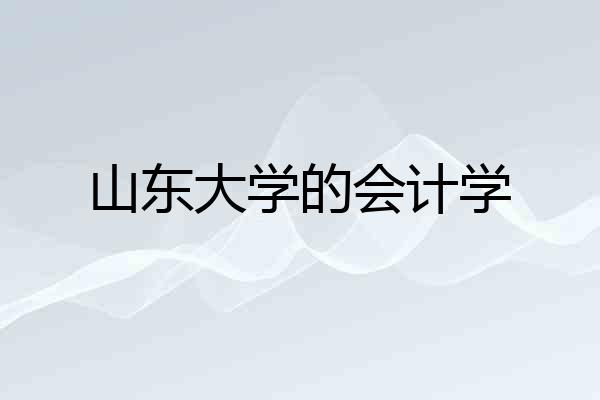 山东大学的会计学
