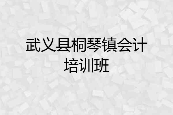 武义县桐琴镇会计培训班