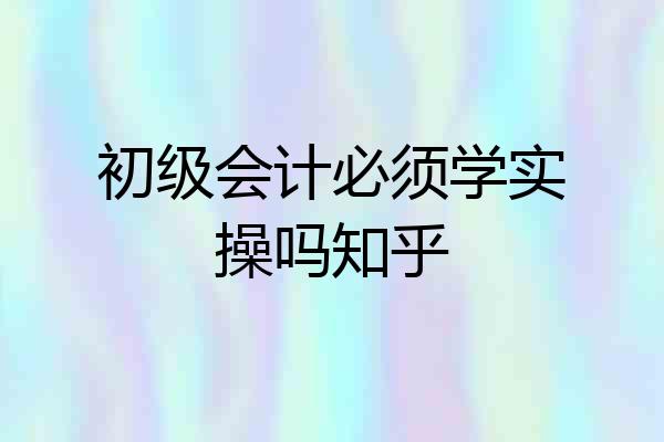 初级会计必须学实操吗知乎