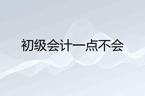 初级会计一点不会