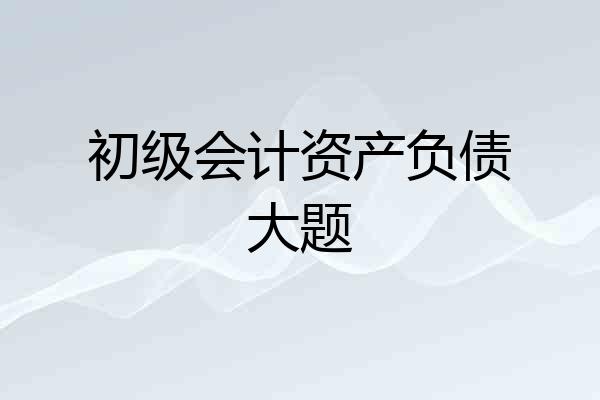 初级会计资产负债大题