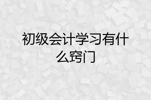 初级会计学习有什么窍门
