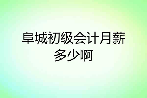 阜城初级会计月薪多少啊