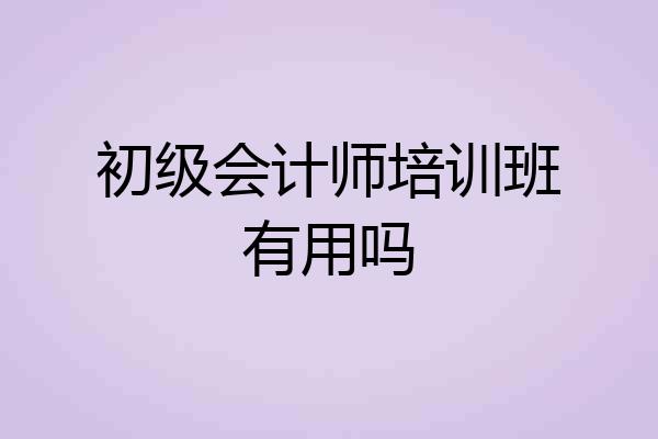 初级会计师培训班有用吗