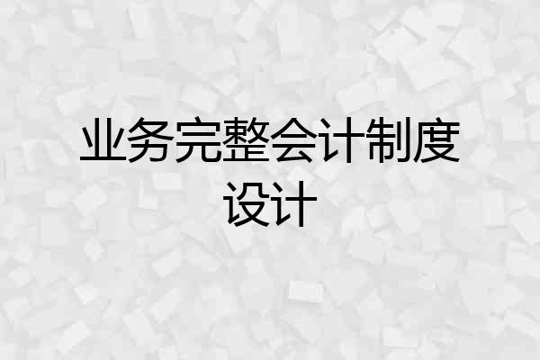 业务完整会计制度设计