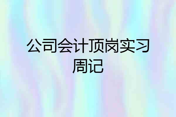 公司会计顶岗实习周记