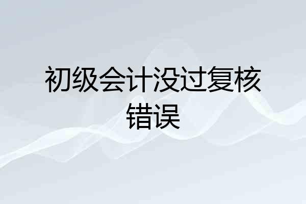 初级会计没过复核错误