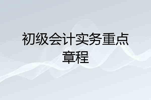 初级会计实务重点章程