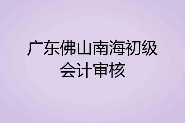 广东佛山南海初级会计审核
