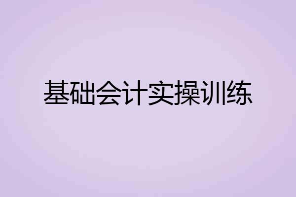 基础会计实操训练