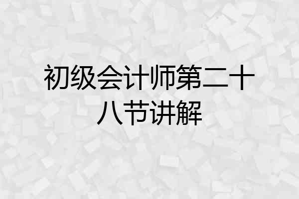 初级会计师第二十八节讲解