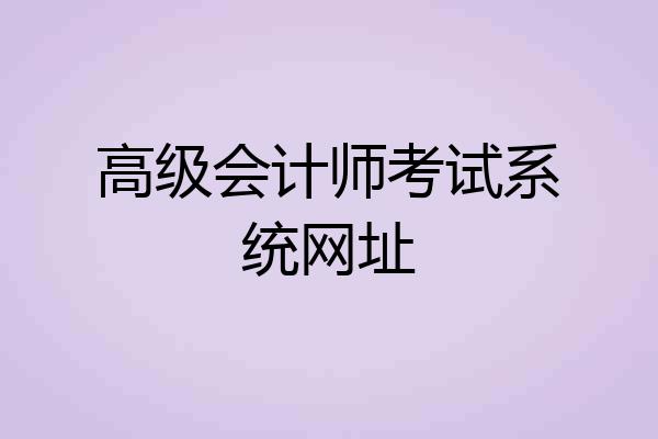 高级会计师考试系统网址