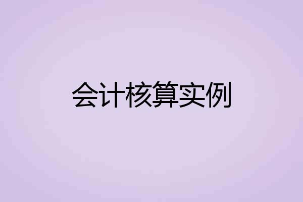 会计核算实例
