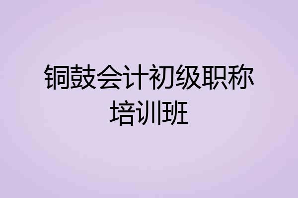 铜鼓会计初级职称培训班