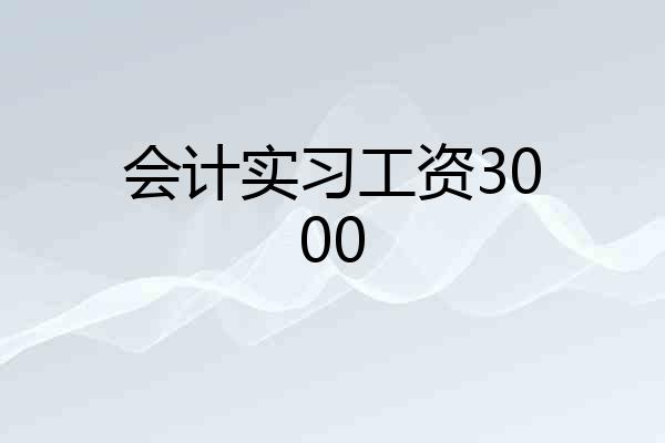 会计实习工资3000