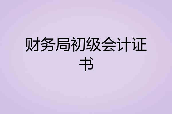 财务局初级会计证书