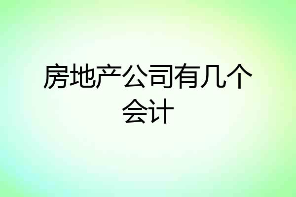 房地产公司有几个会计