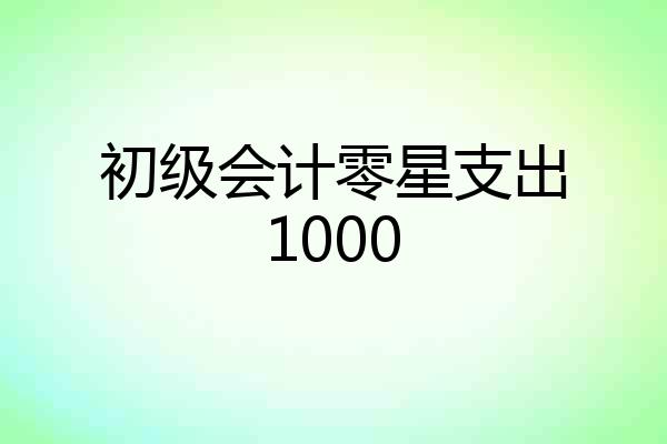 初级会计零星支出1000