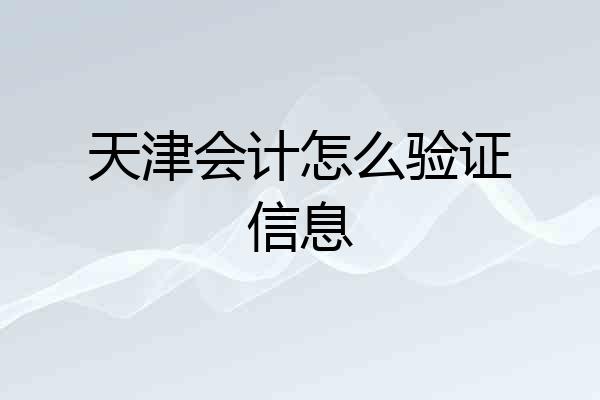 天津会计怎么验证信息