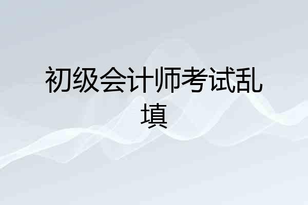 初级会计师考试乱填
