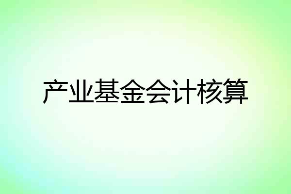 产业基金会计核算
