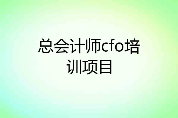 总会计师cfo培训项目