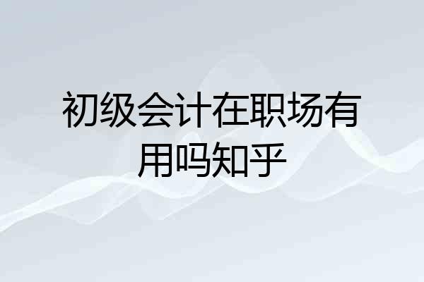 初级会计在职场有用吗知乎