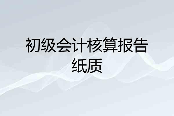 初级会计核算报告纸质