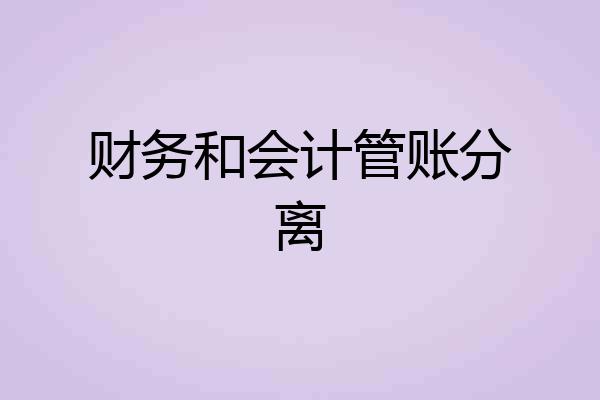 财务和会计管账分离