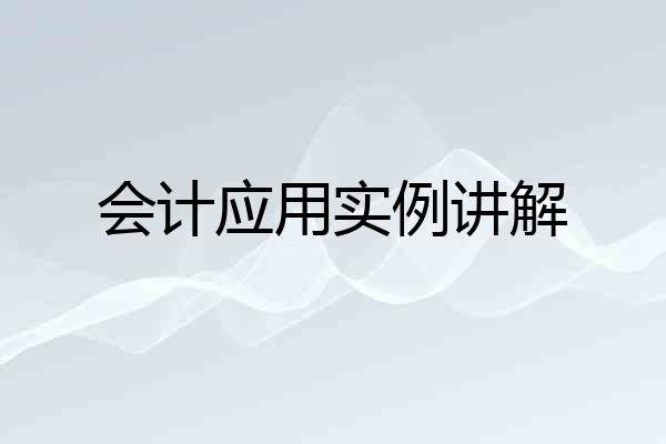 会计应用实例讲解