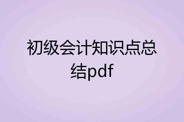 初级会计知识点总结pdf