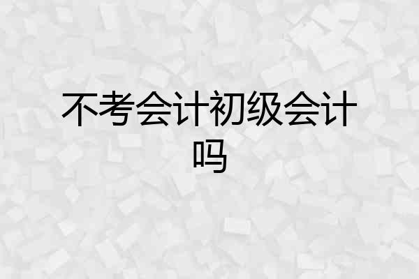 不考会计初级会计吗