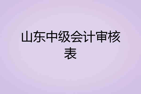 山东中级会计审核表