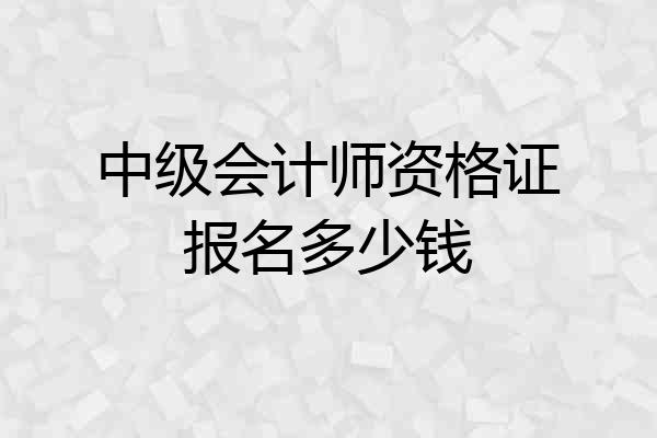 中级会计师资格证报名多少钱