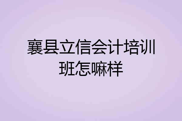 襄县立信会计培训班怎嘛样