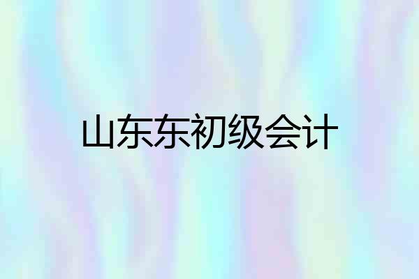 山东东初级会计