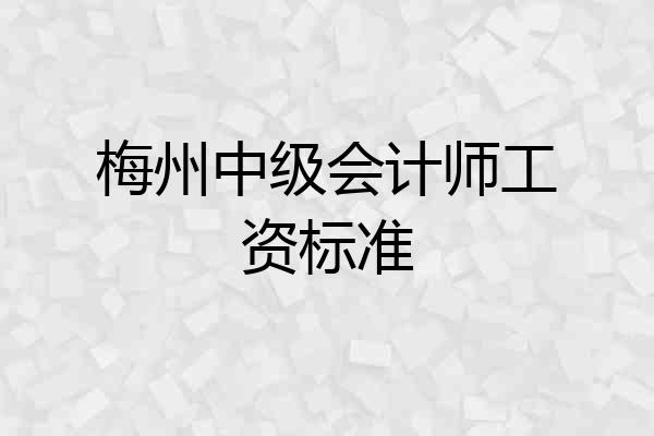 梅州中级会计师工资标准