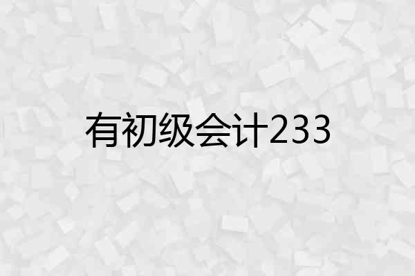有初级会计233