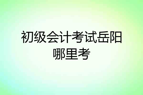 初级会计考试岳阳哪里考