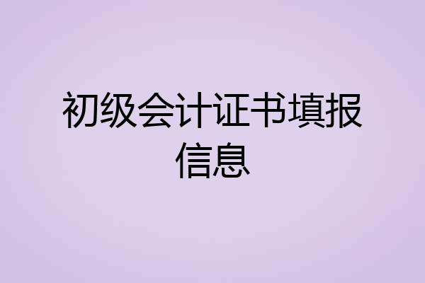 初级会计证书填报信息