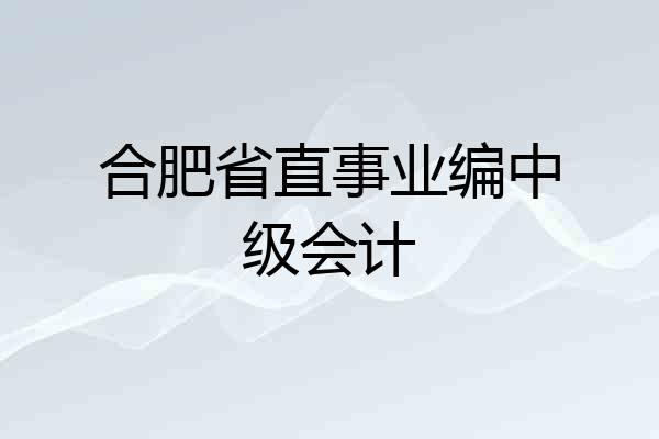 合肥省直事业编中级会计