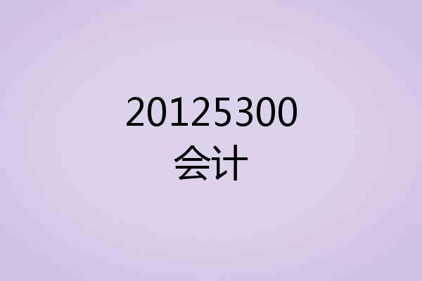 20125300会计