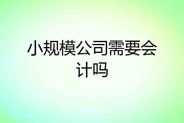 小规模公司需要会计吗